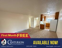 featured image of 528 Sw Levens St #17