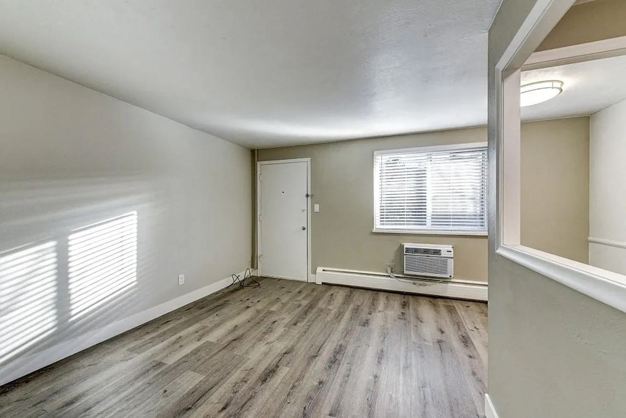 1137 Columbine Street - Photo 4 of 13