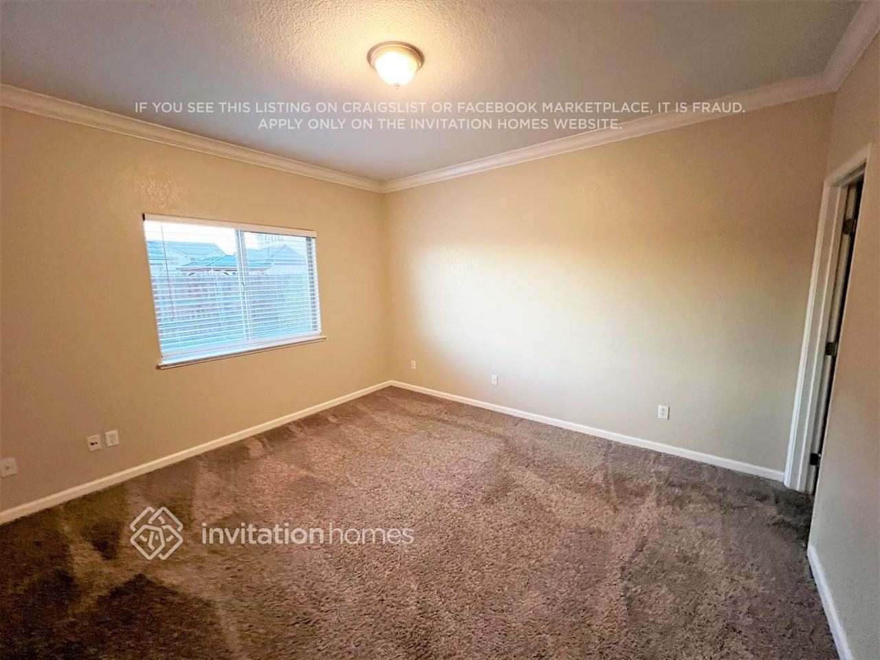 5548 Seedling Way - Photo 5 of 12