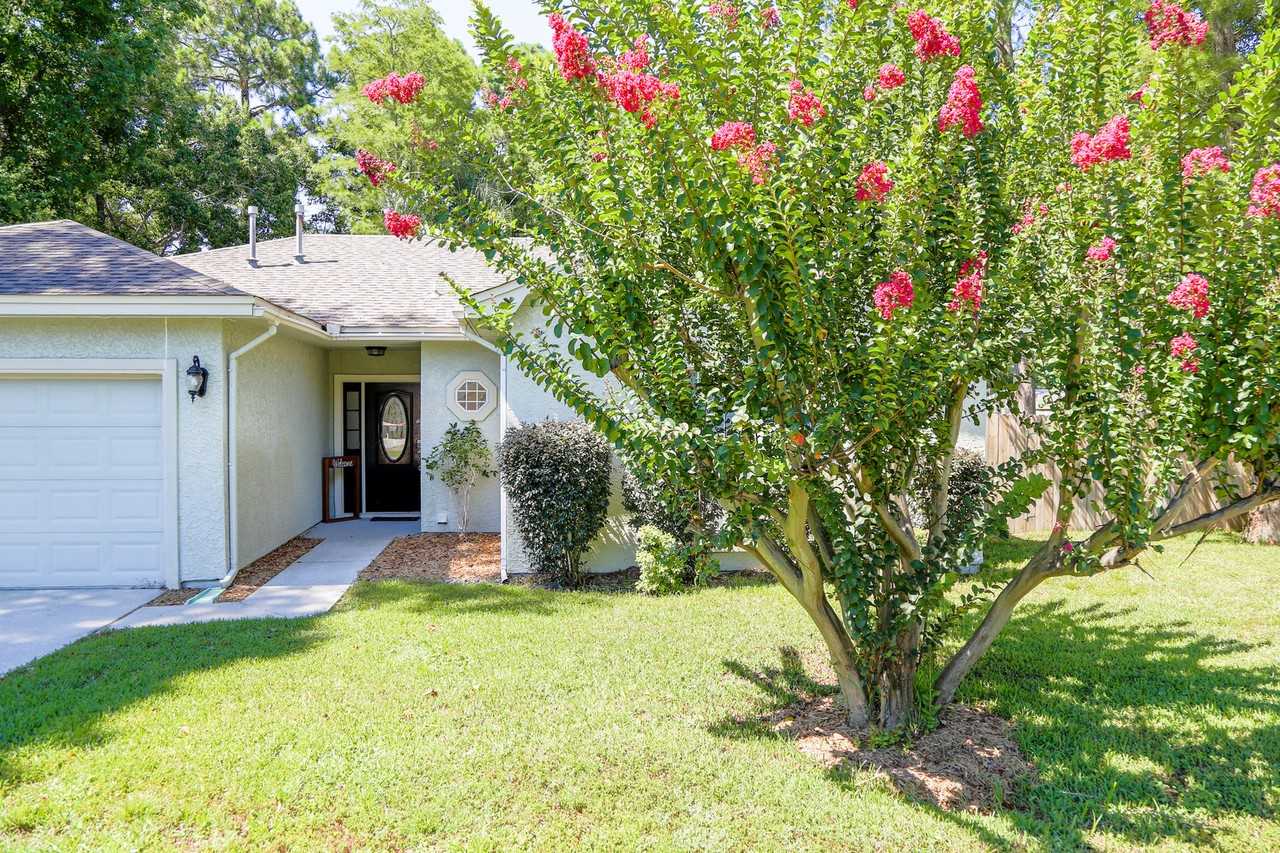 206 Sago Palm St - Photo 3 of 20