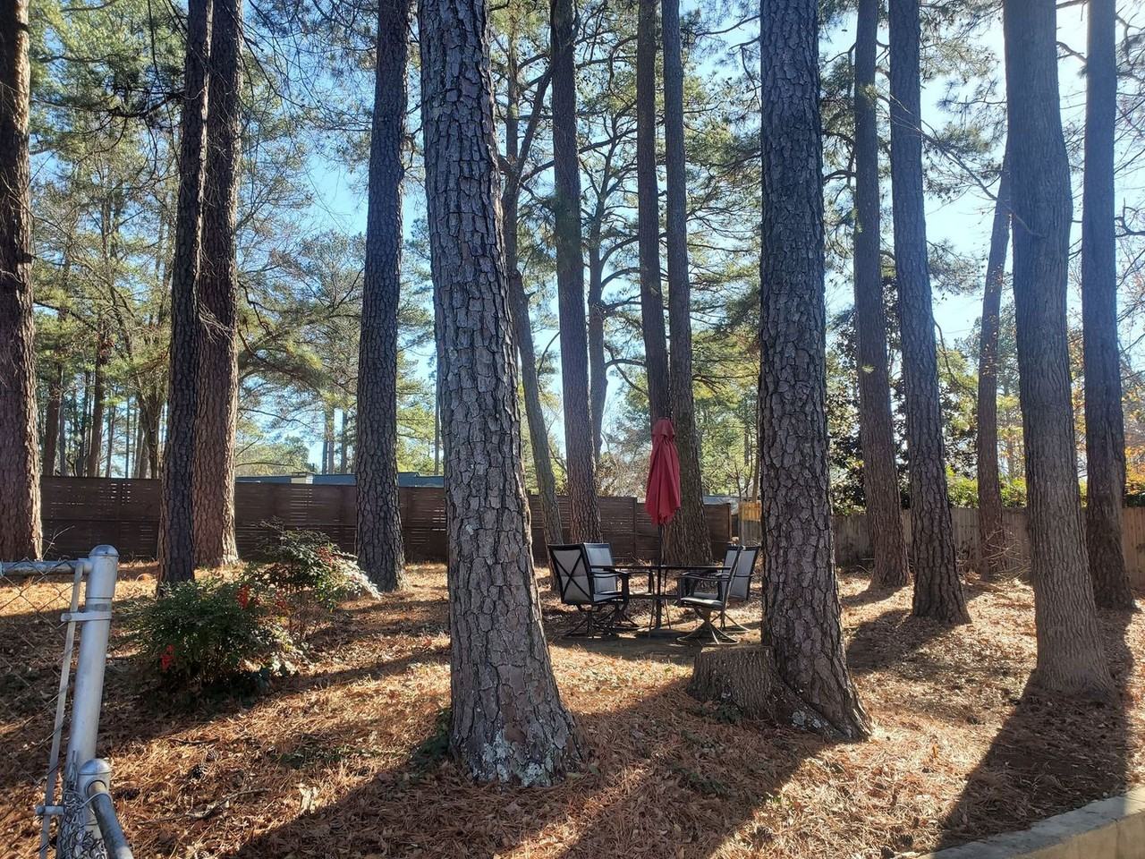 10917 Blue Heron Dr - Photo 4 of 16