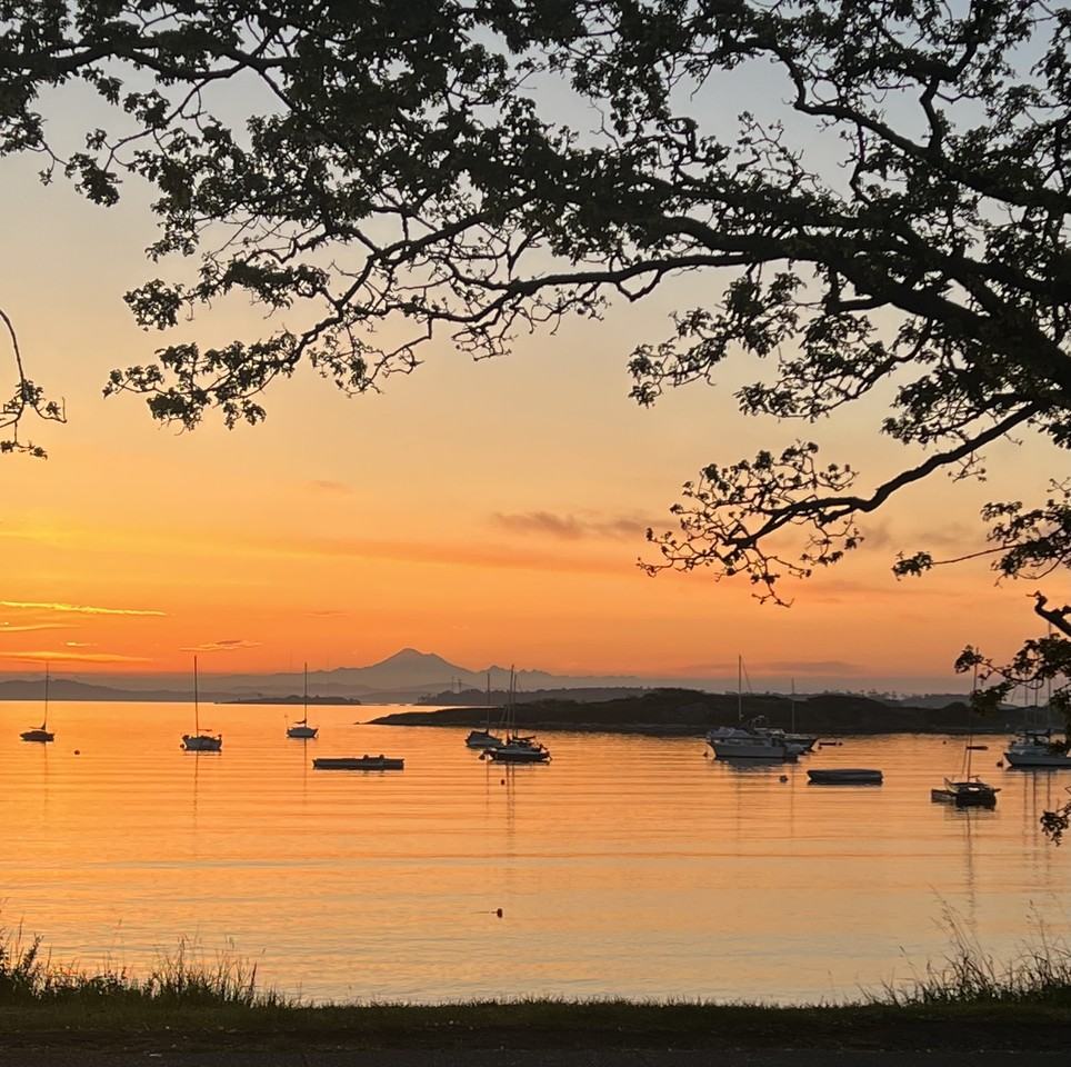 1526 Beach Drive - Photo 6 of 23