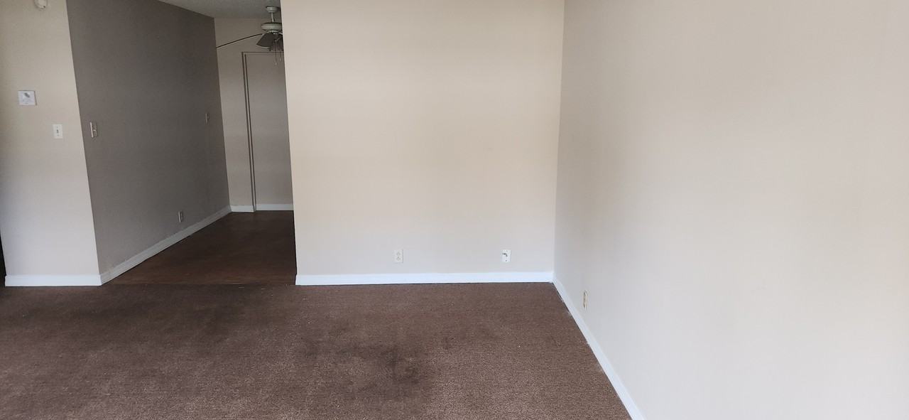 233 Mimosa Dr - Photo 4 of 15