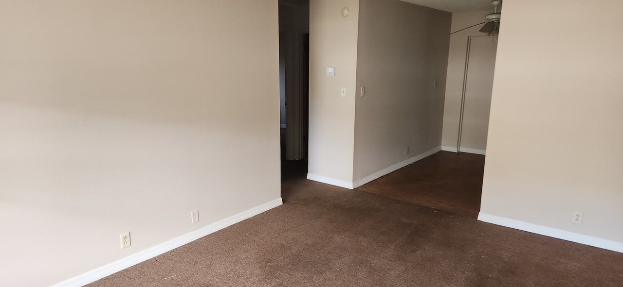 233 Mimosa Dr - Photo 5 of 15