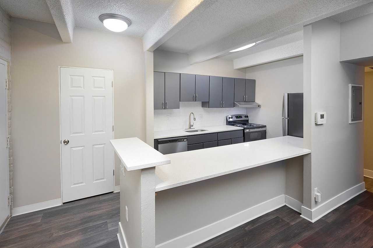 Raven - Photo 7 of 38