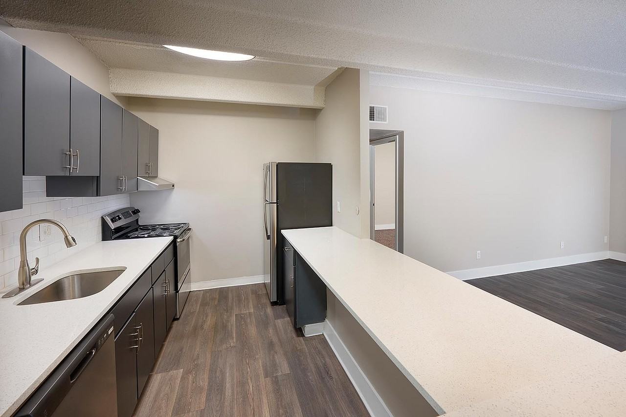 Raven - Photo 7 of 24