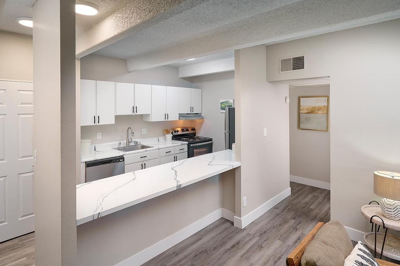 Raven - Photo 2 of 24