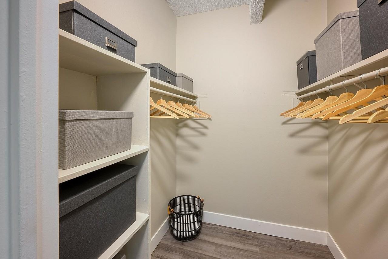 Raven - Photo 5 of 24