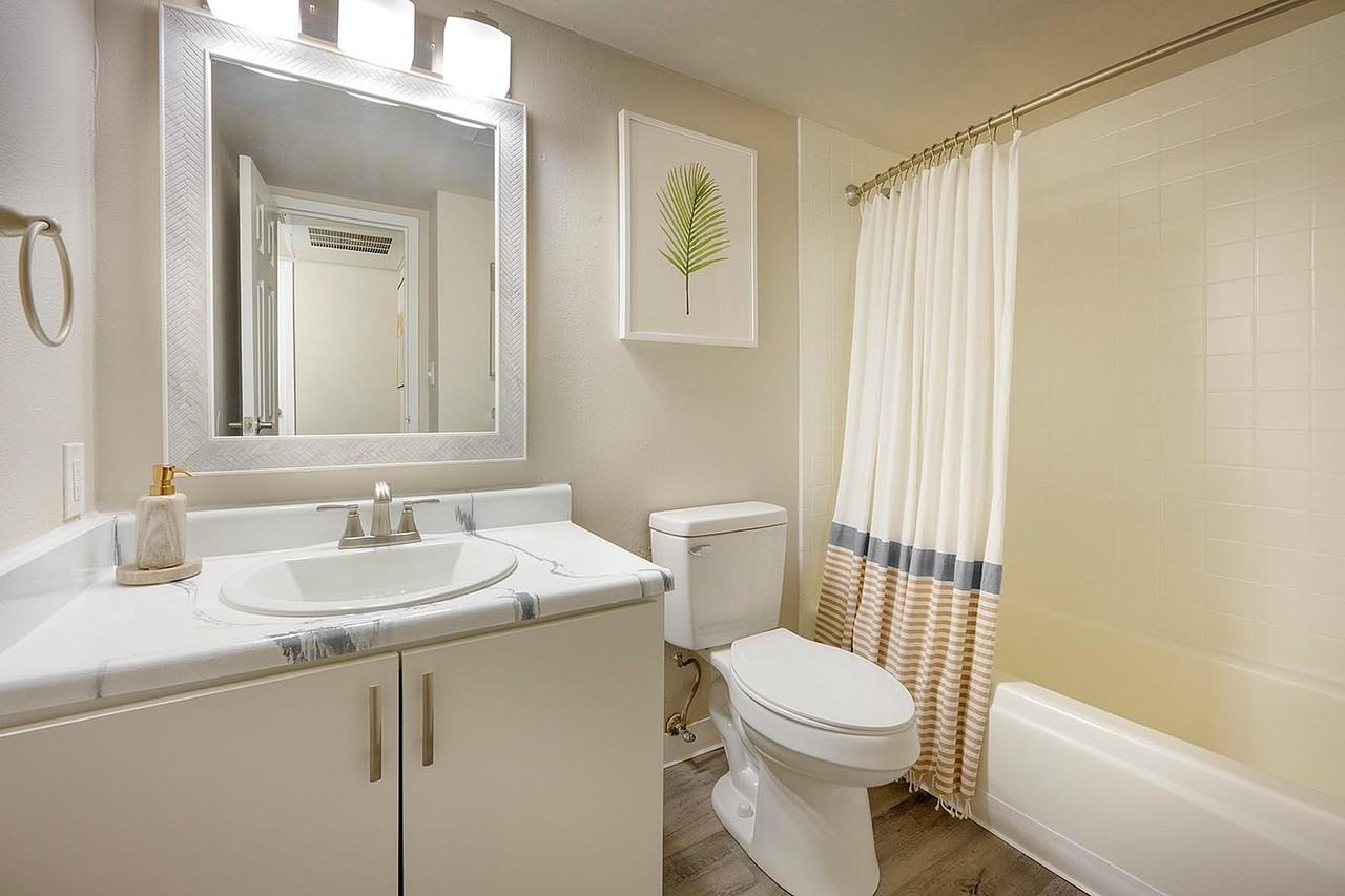 Raven - Photo 6 of 24