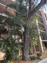 1540 Riverside Dr Apt 402 - Photo 1 of 1