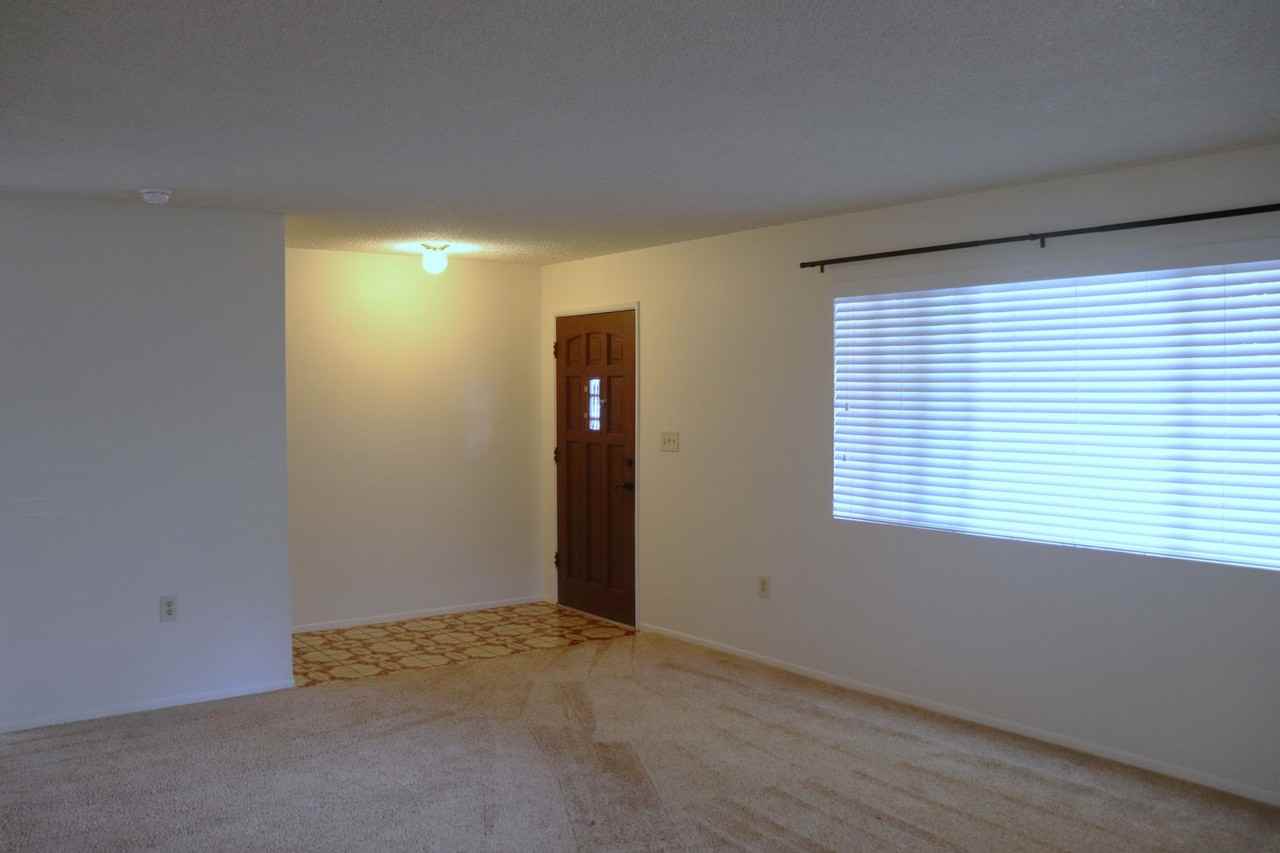 517 Phillip Dr - Photo 5 of 26