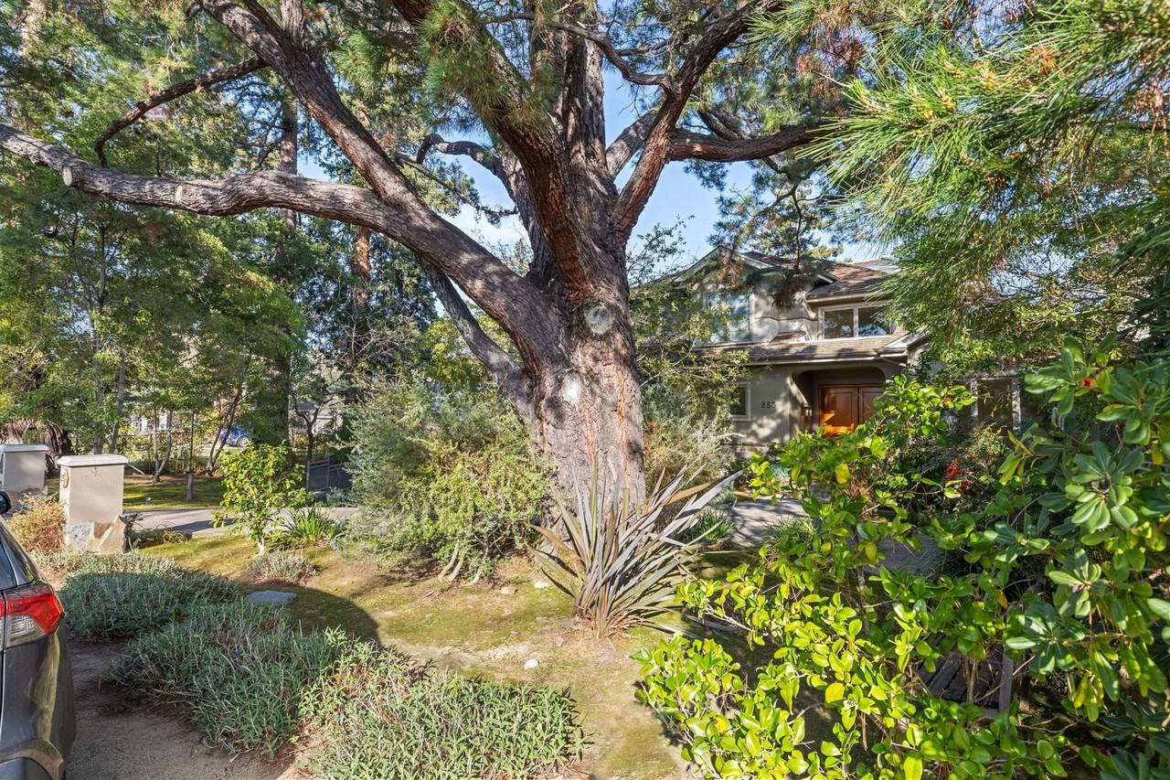 253 Hillview Ave - Photo 7 of 50