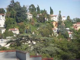 featured image of 2036 High Tower Dr