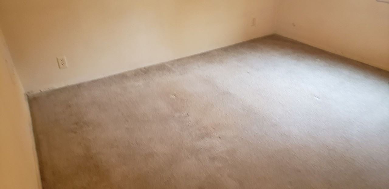 3151 16th St - Photo 4 of 12