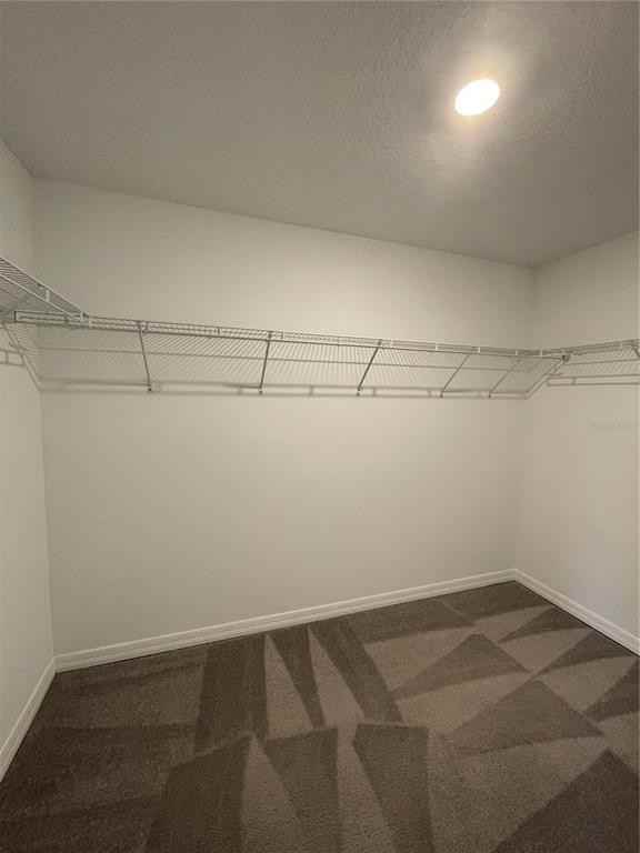 30813 Veridian Way #30813 - Photo 4 of 22