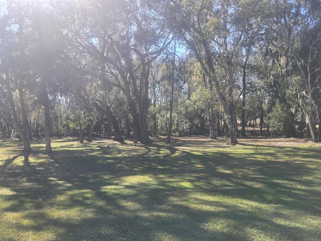 13091 Old Crystal River Rd #13091 - Photo 4 of 30