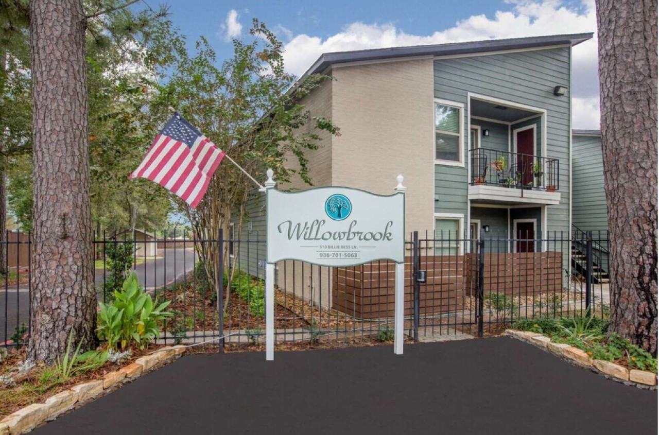 510 Billie Bess Ln #111 - Photo 2 of 19