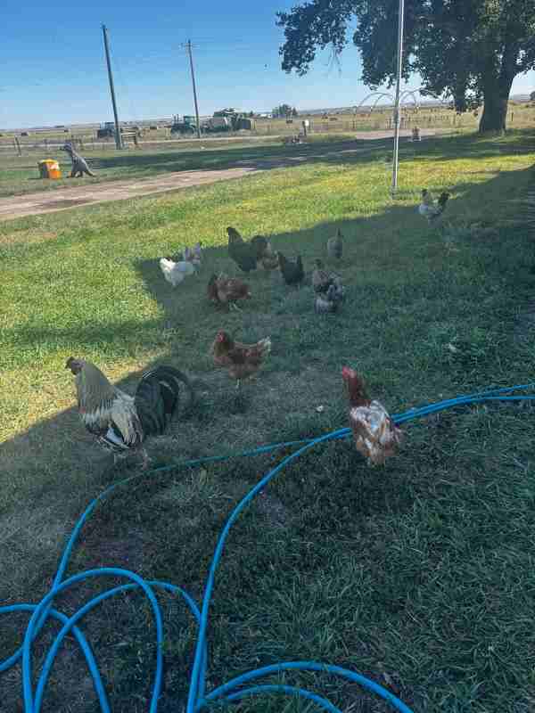 390 Little Rd - Photo 3 of 14