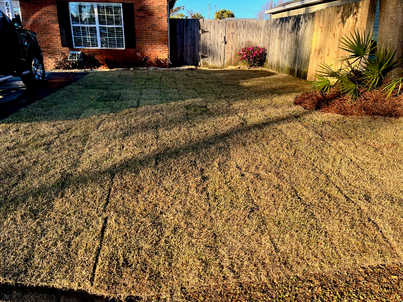 6214 E Azalea Ave - Photo 3 of 19