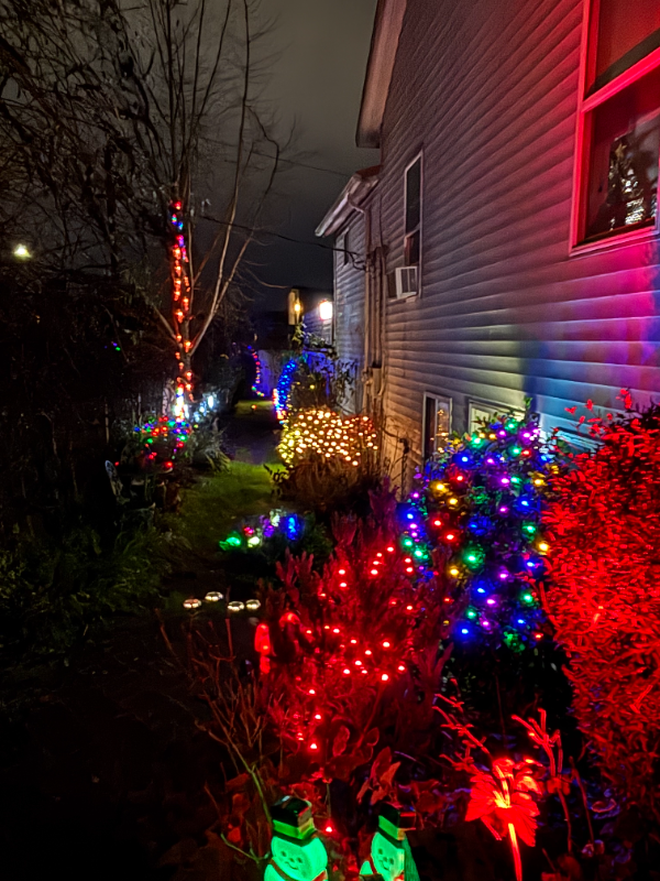 539 29th Ave S - Photo 5 of 20