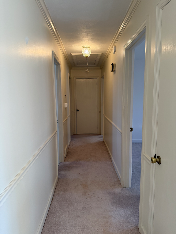 825 Reynolds Rd - Photo 5 of 15