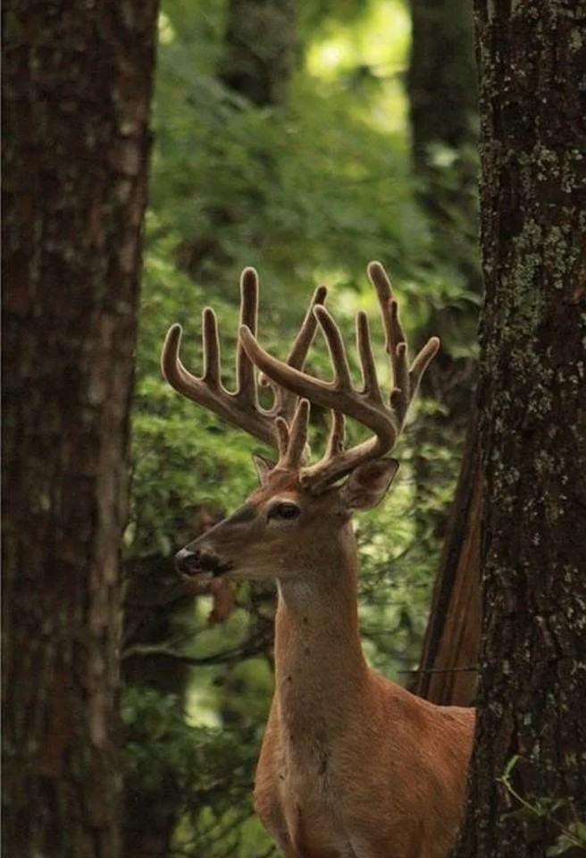 304 Sunset Ct #NA - Photo 5 of 11