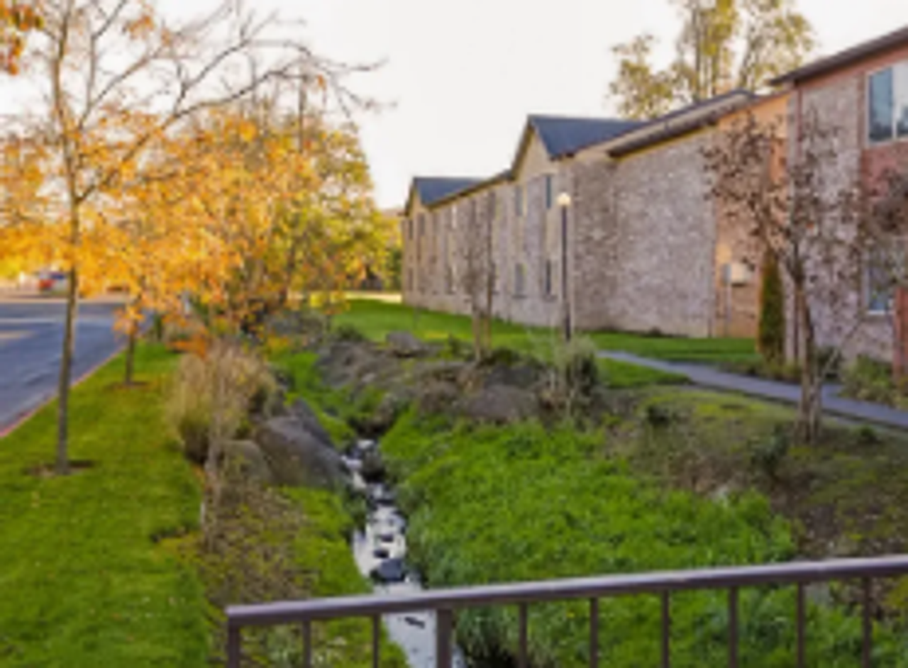 Winter Warm up special! First Month FREE! - Photo 5 of 8