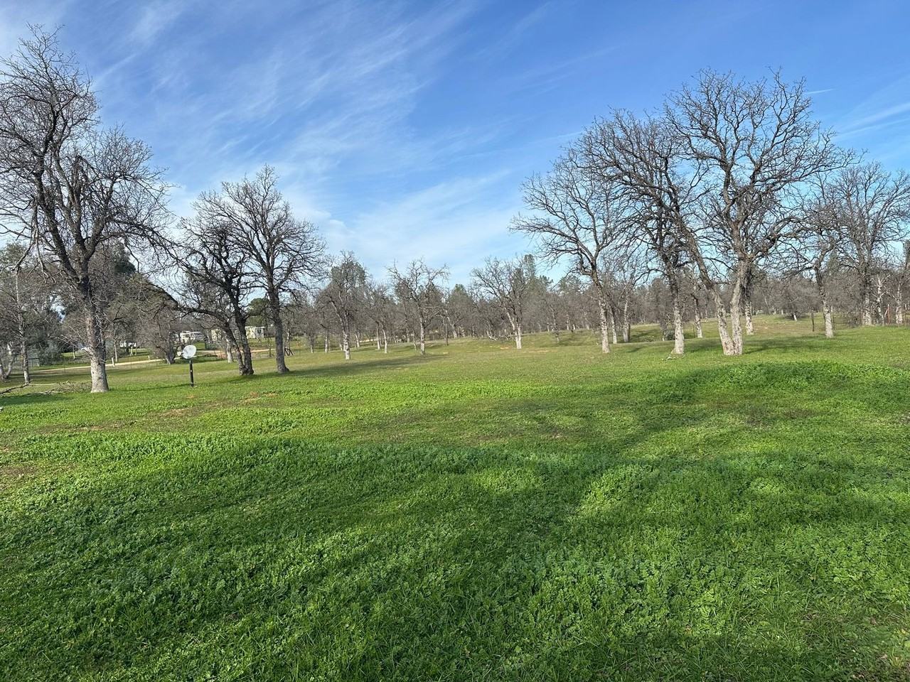 4905 Pinehurst Rd - Photo 6 of 41