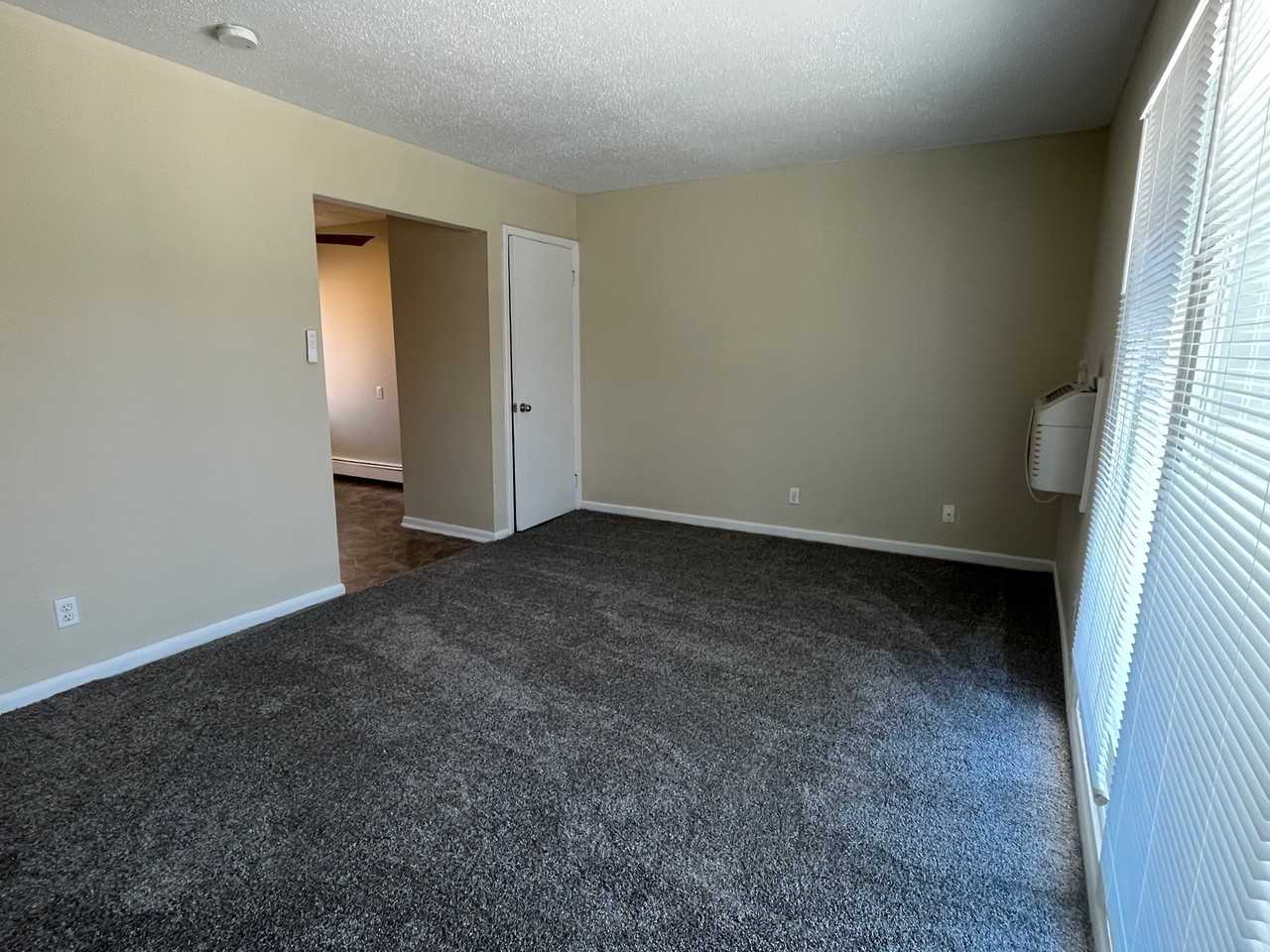 206 W Canedy Street - Photo 3 of 14