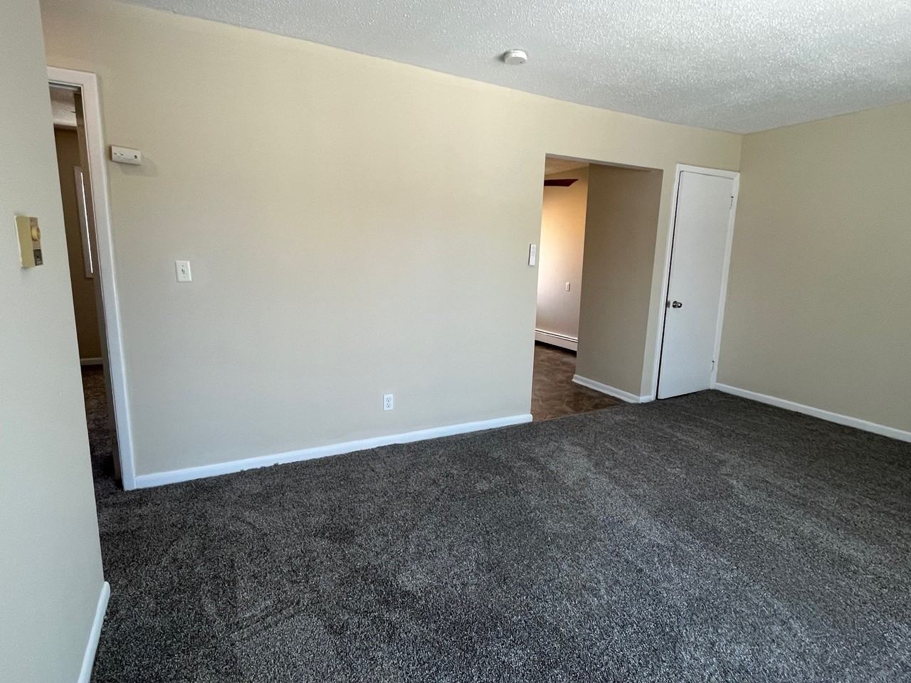 206 W Canedy Street - Photo 6 of 14