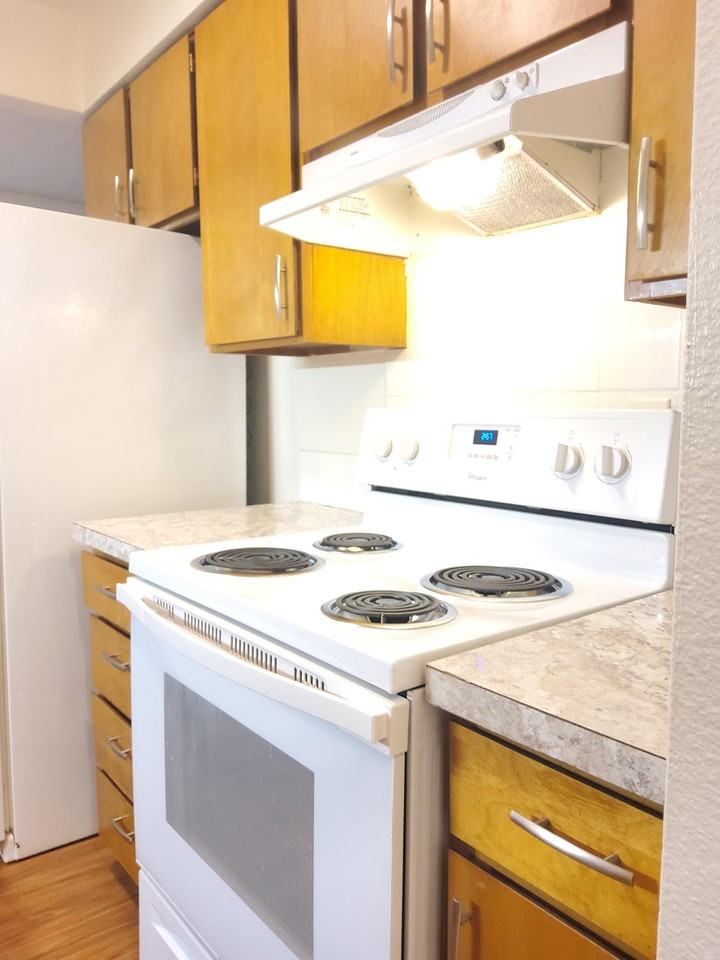 Park Hollywood Apartments - Photo 7 of 13