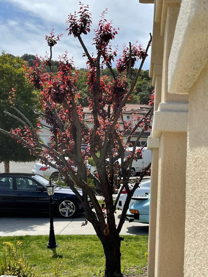 1013 Ridgeview Dr - Photo 5 of 26