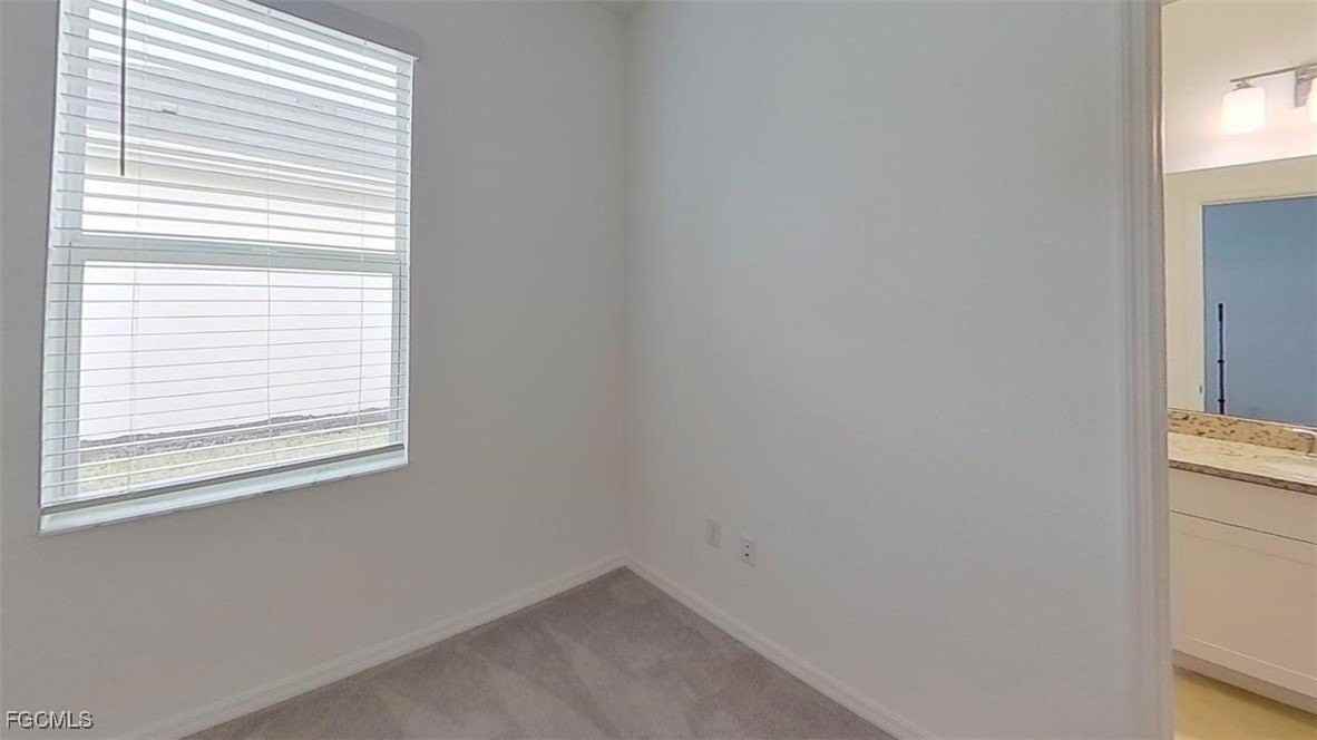 43821 Seedling Ter - Photo 7 of 46