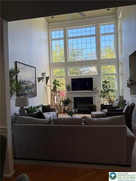 4005 Page St - Photo 4 of 13