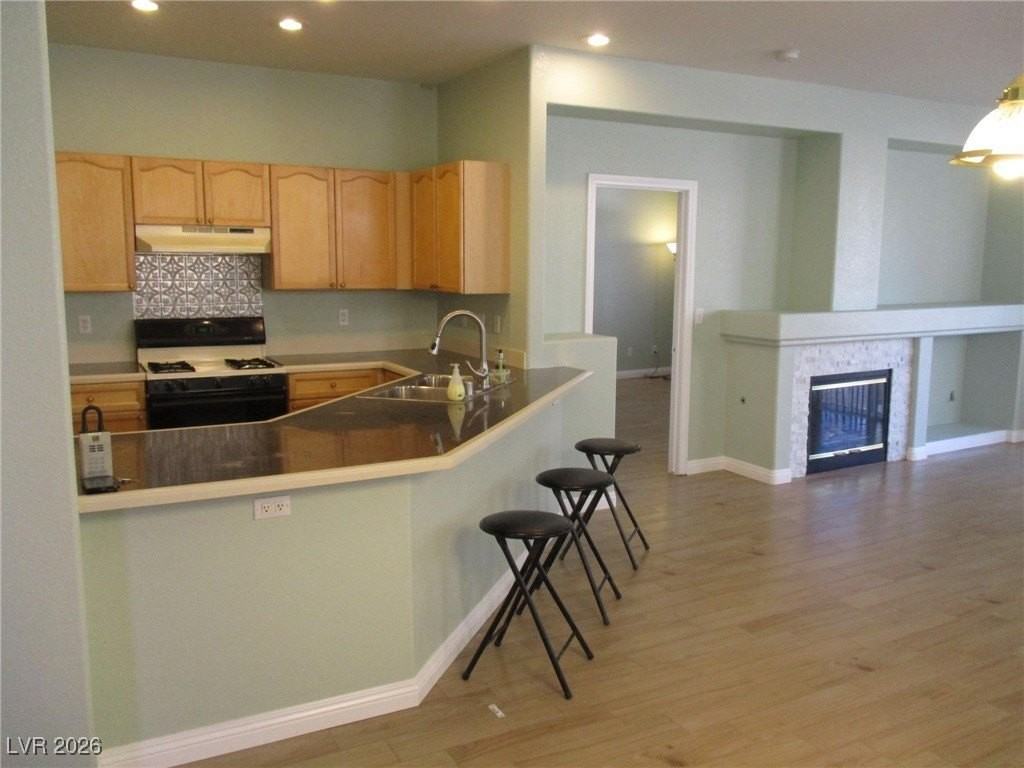 1052 Country Skies Ave - Photo 4 of 31