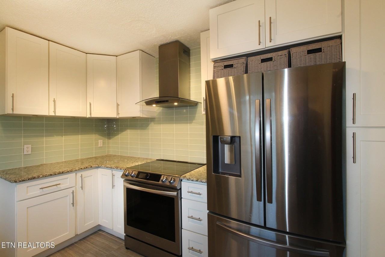 4308 Lonas Dr - Photo 6 of 24