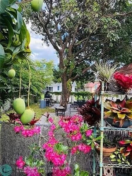 7387 Nw 76th St #1-2 - Photo 2 of 14