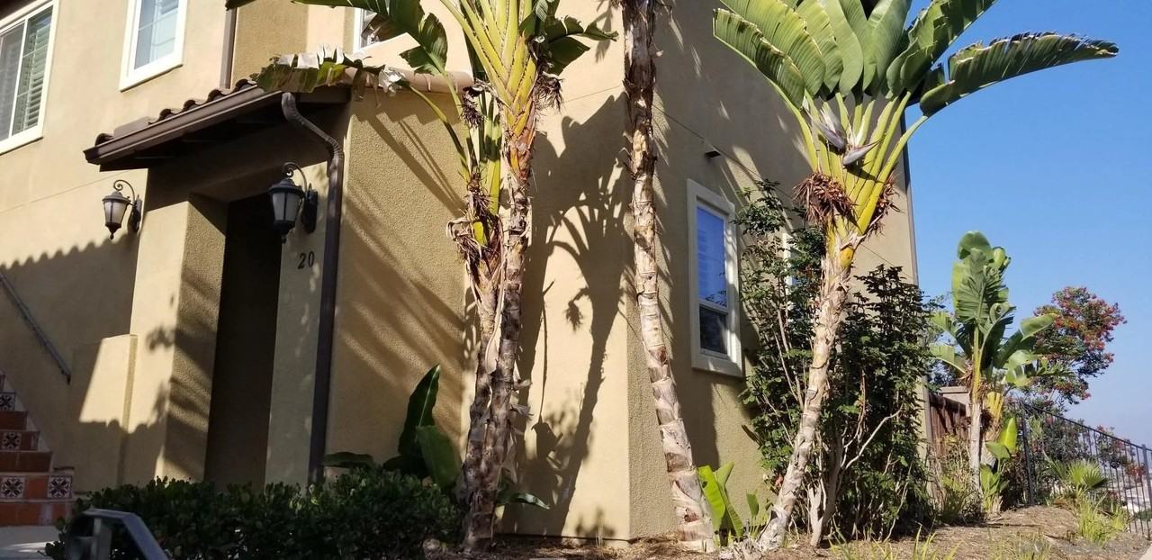 2236 Antonio Dr #20 - Photo 3 of 23