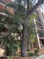 featured image of 1540 Riverside Dr Unit 11 #11