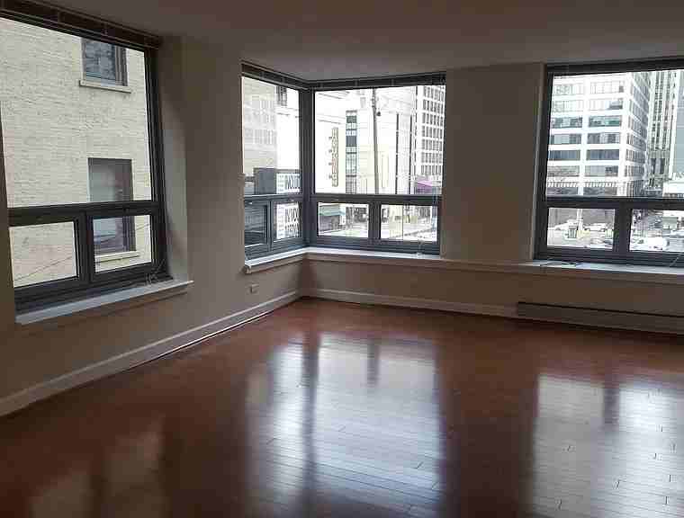 440 N Wabash Ave #408 - Photo 2 of 13