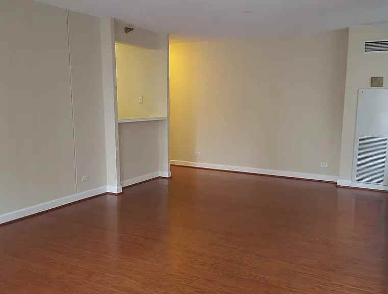 440 N Wabash Ave #408 - Photo 3 of 13