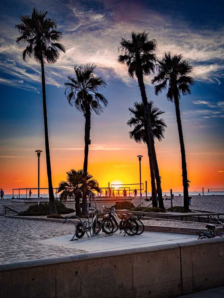 416 Virginia St - Photo 5 of 50