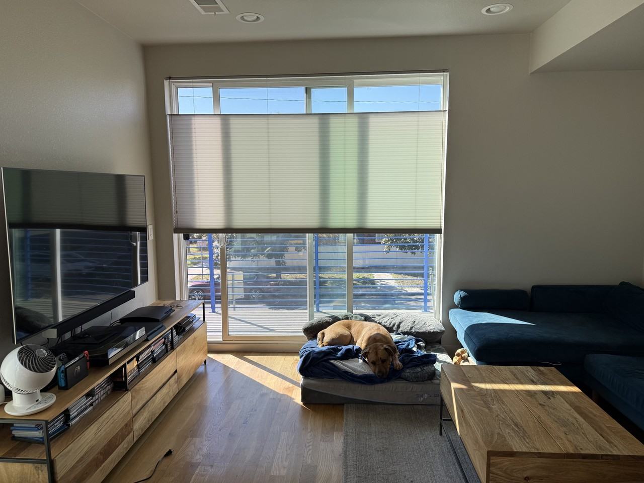 1551 King St #1 - Photo 6 of 15