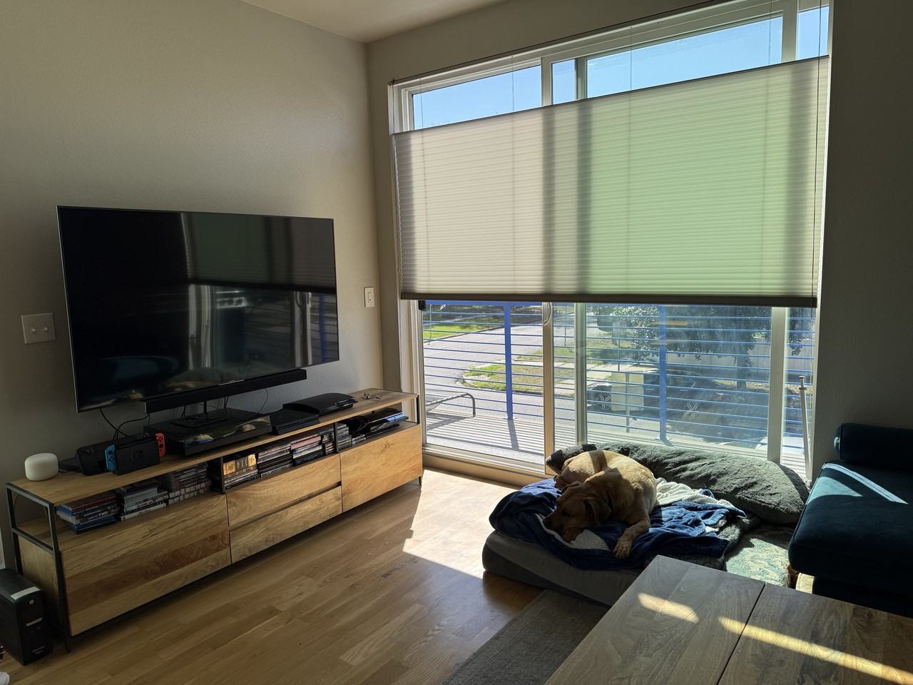 1551 King St #1 - Photo 7 of 15