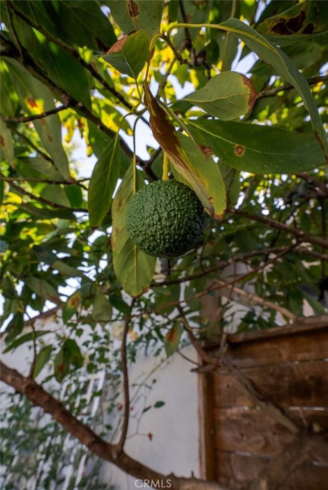 1123 N Lowell St #1123 - Photo 6 of 50