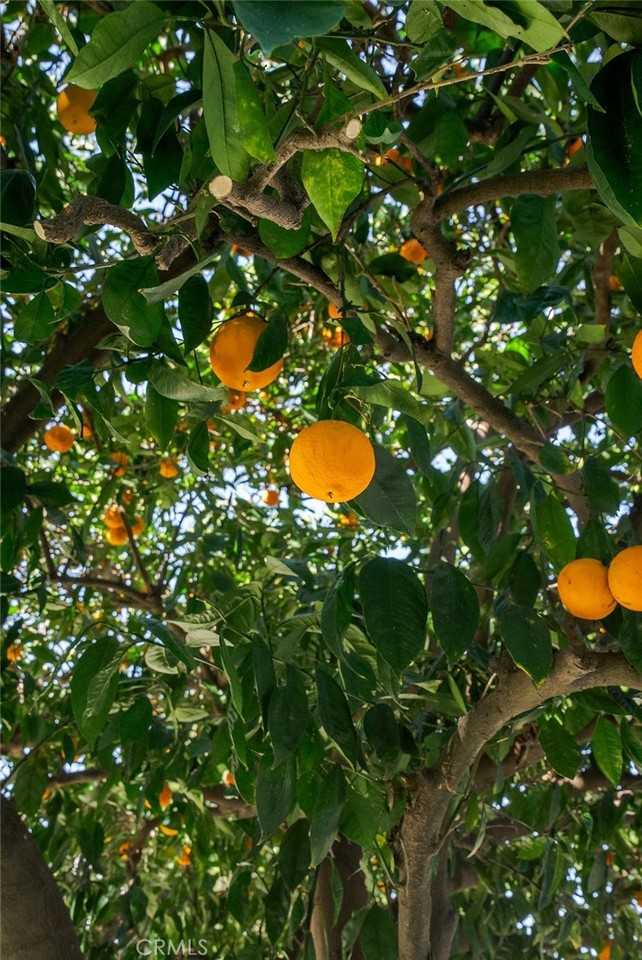 1123 N Lowell St #1123 - Photo 7 of 50