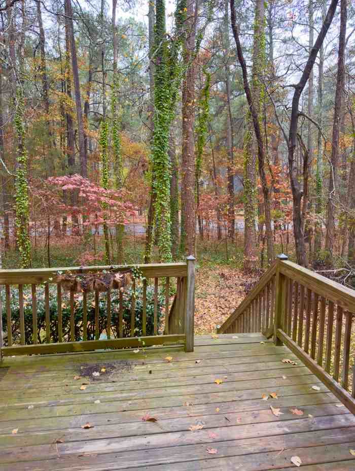 164 Winners Cir - Photo 7 of 11