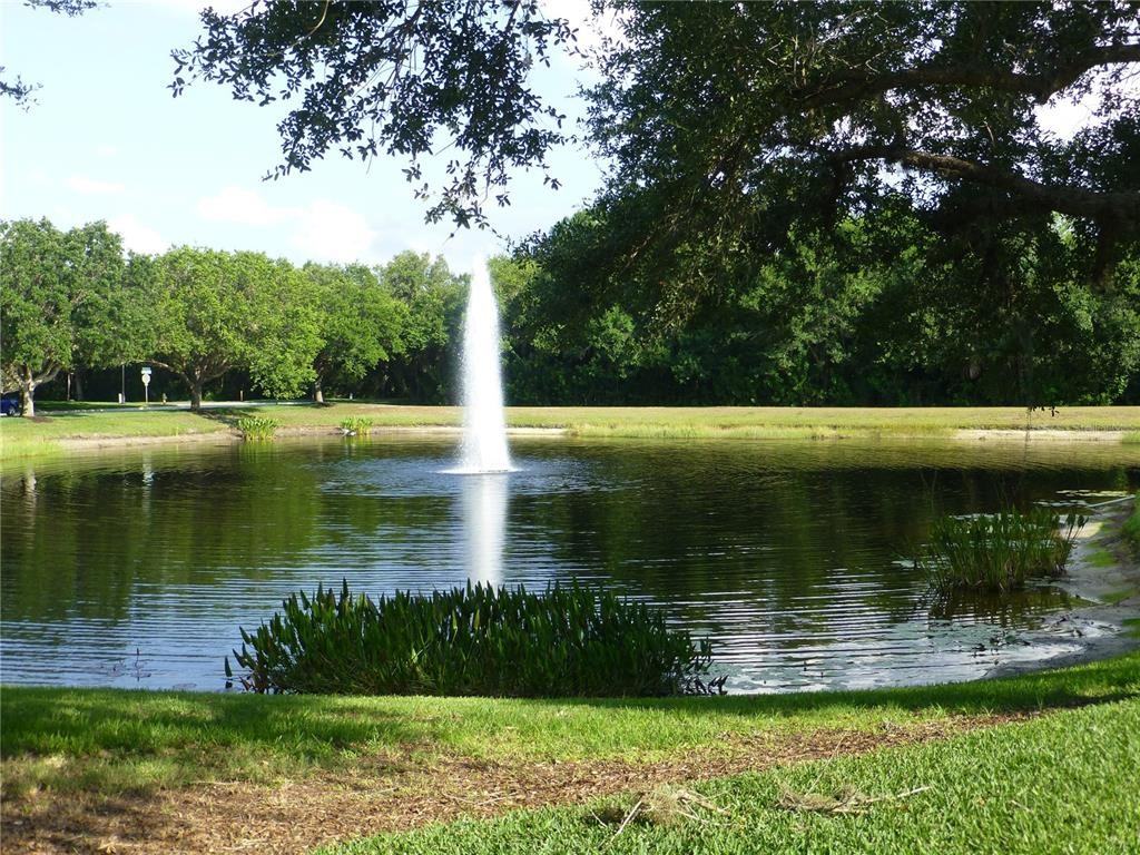 629 Rosemary Cir #629 - Photo 7 of 50