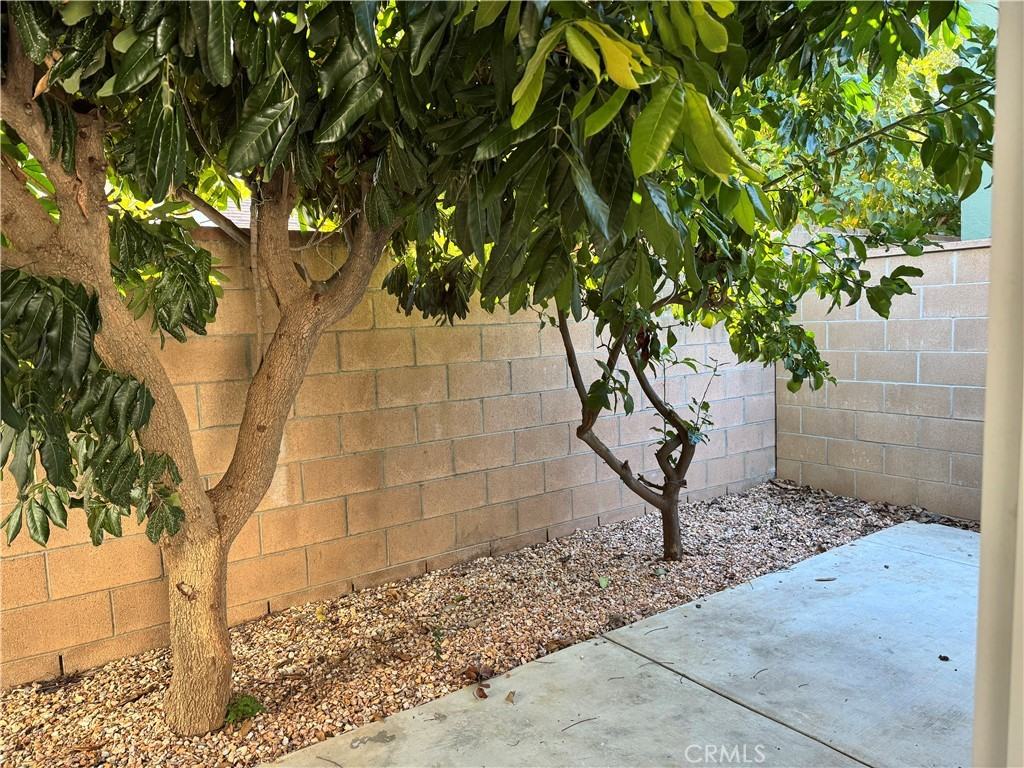 106 E Linda Vista Ave #106 - Photo 7 of 12