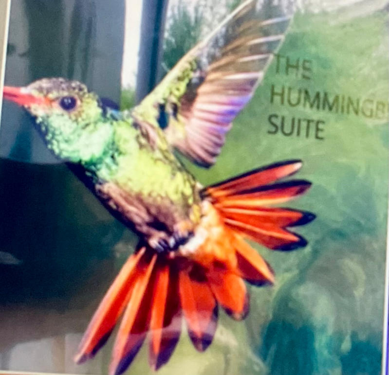 9859 Gandy Ave #A950